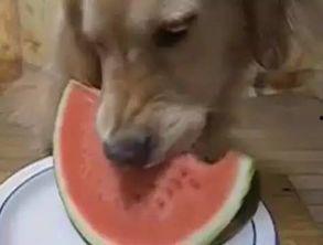 娱乐吃瓜汪,揭秘娱乐圈那些不为人知的幕后故事