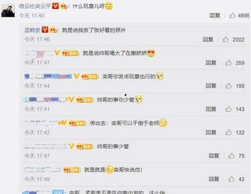 娱乐吃瓜酱语音评论,明星幕后趣闻大放送！